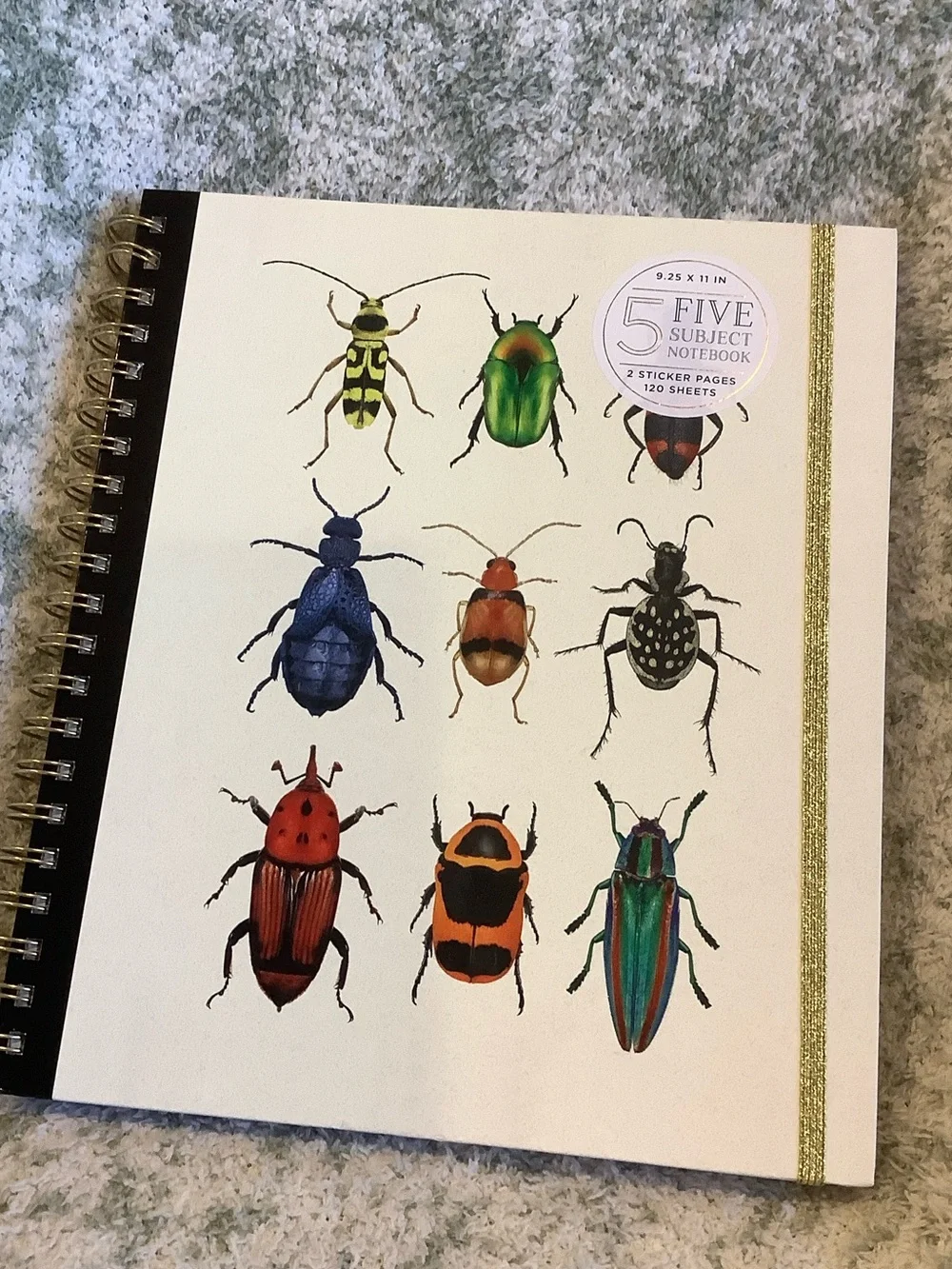 James Burke Collection Colorful Bugs Five Subject Notebook NWT 9.25x11” 120 page